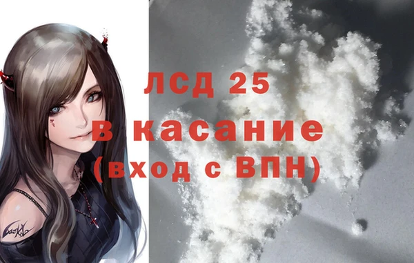 прущие грибы Железноводск
