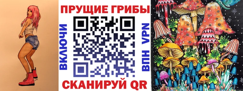магазин продажи наркотиков  Новоржев  Галлюциногенные грибы Psilocybine cubensis 